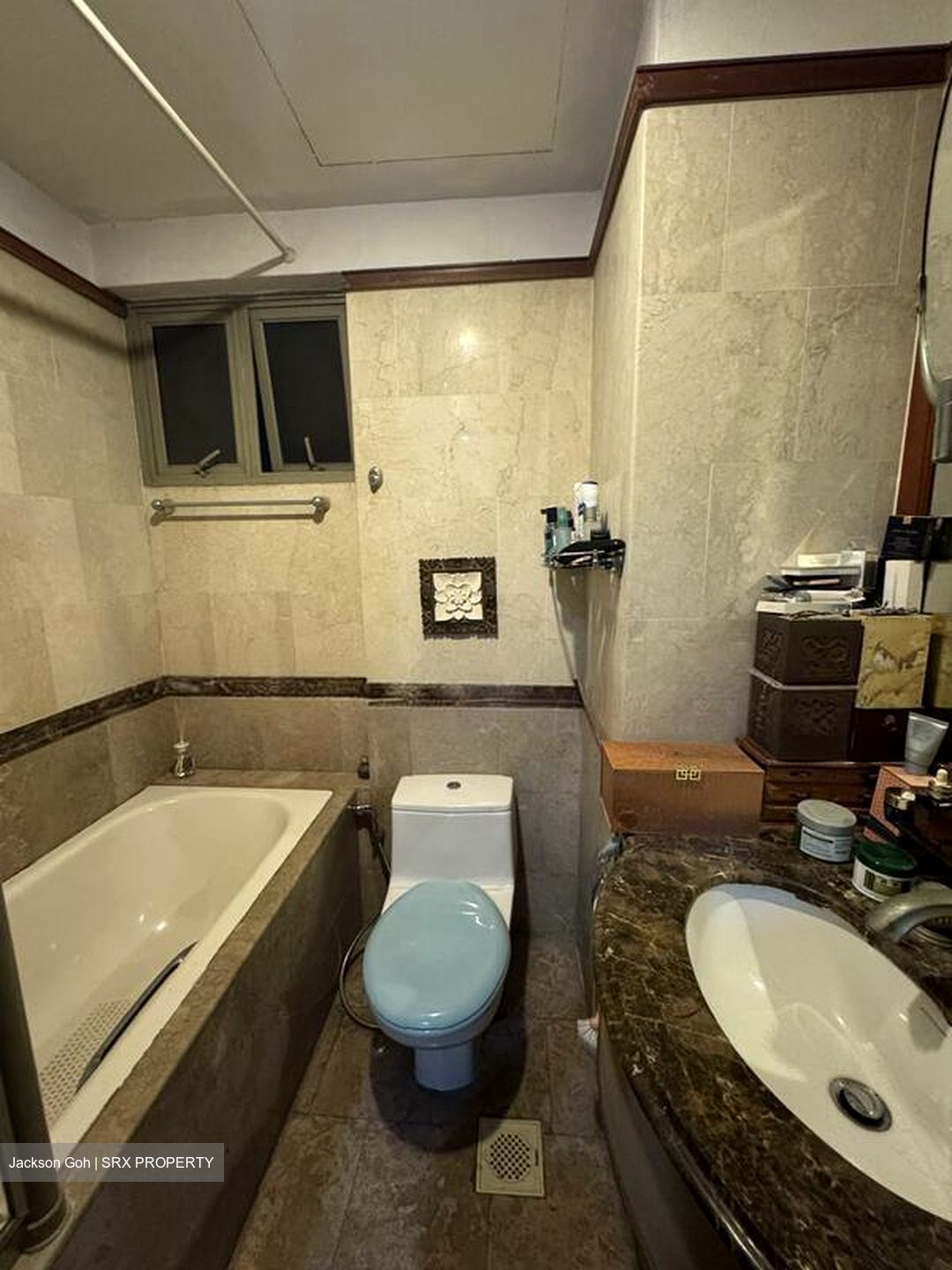 Parc Vista (D22), Condominium #503074361